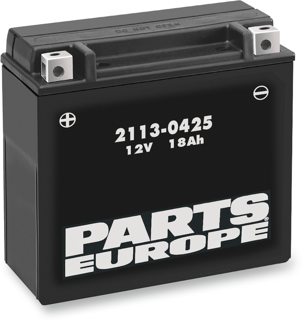 PARTS EUROPE Batteria AGM senza manutenzione ad alte prestazioni