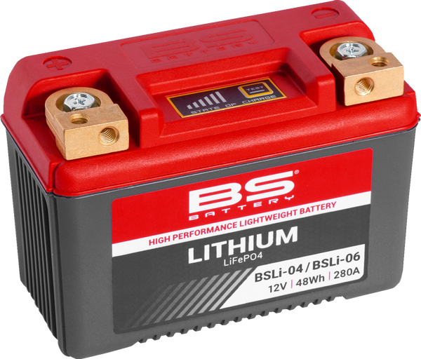 BS BATTERY Lithium LiFePO4 Battery