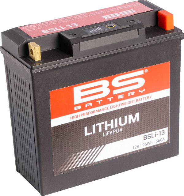 BS BATTERY Lithium LiFePO4 Battery