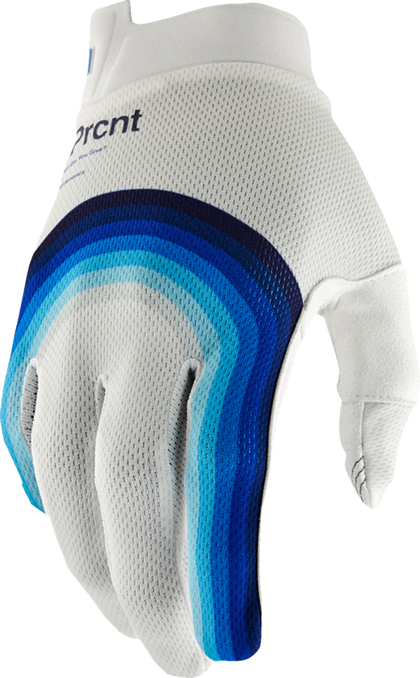100% GUANTI iTrack Gloves