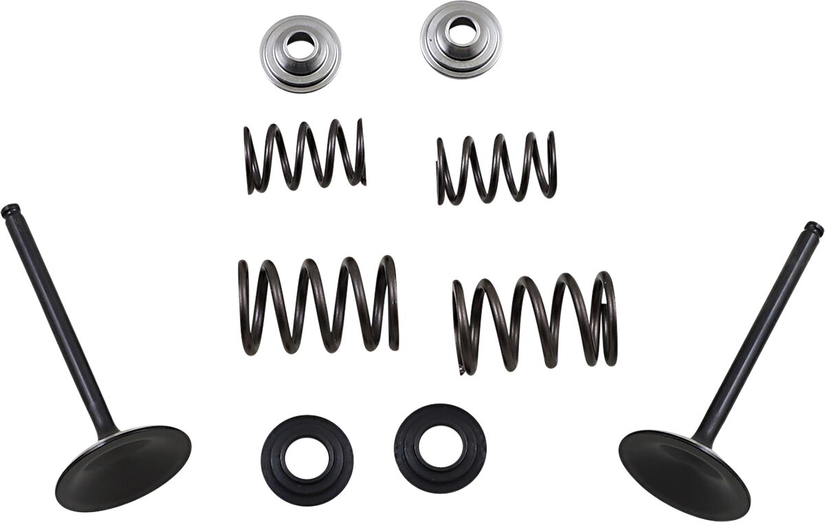 MOOSE M60-60850 Kit valvola di aspirazione e molla SUZUKI LT-R 450 2X4 2006>09
