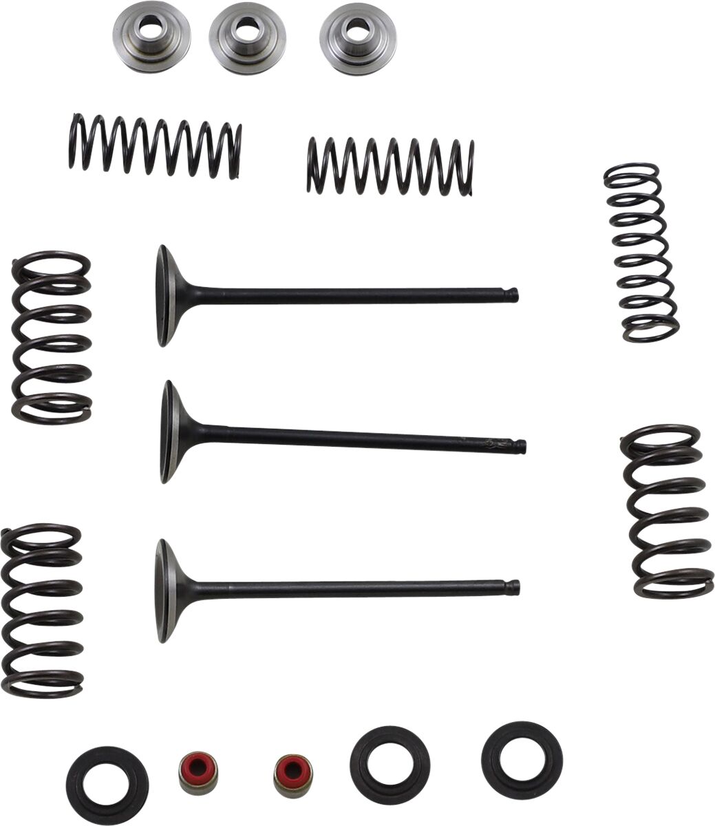 MOOSE M80-80850 Kit valvola di aspirazione e molla YAMAHA YZ 250 F 2002>13