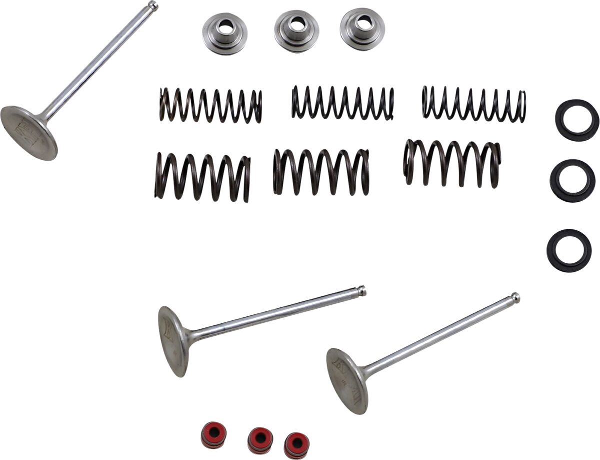 MOOSE M80-80950 Kit valvola di aspirazione e molla YAMAHA WR 450 F 2003>15