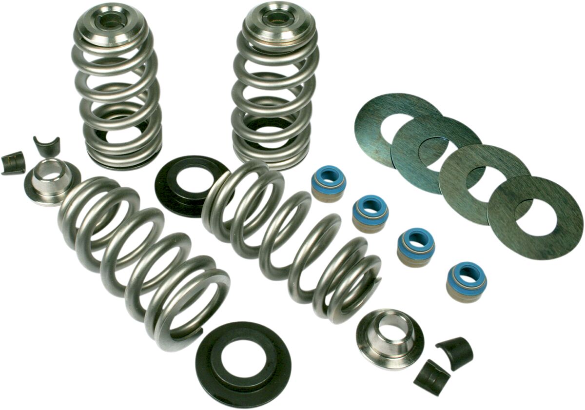 FEULING PARTS 1100 KIT MOLLE VALVOLE ASPIRAZIONE SCARICO Endurance Beehive piatti molla in titanio Harley Davidson FXST 1450 Softail 83>04