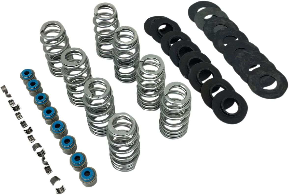 FEULING PARTS 1107 Kit molle valvola BeeHive Harley Davidson FLRT 1868 ABS Freewheeler 114 17>25