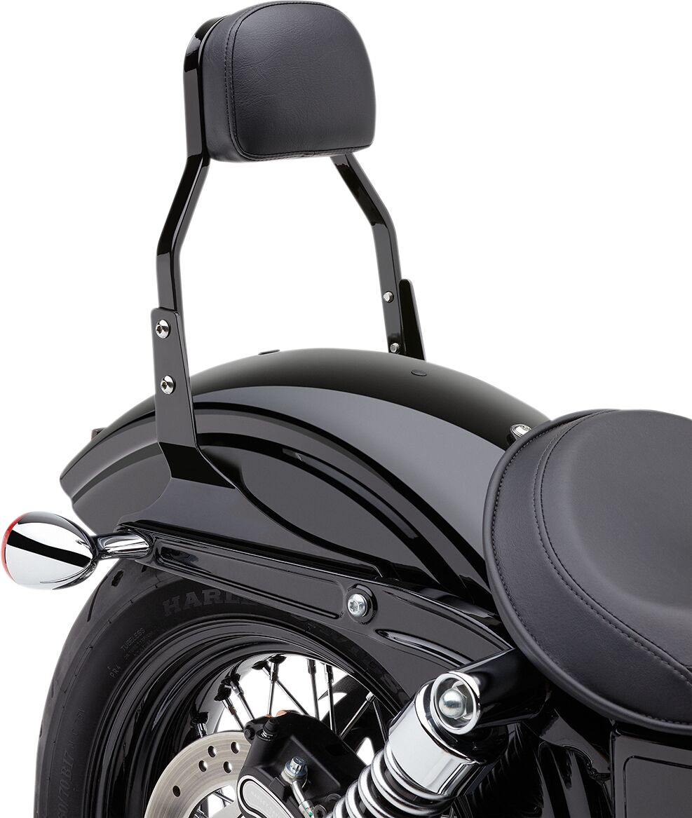 COBRA Sissy Bar quadrata