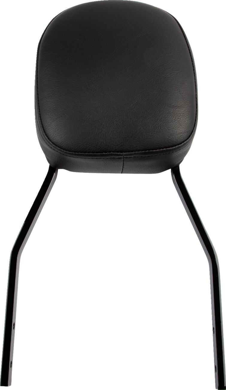 COBRA Sissy Bar quadrata