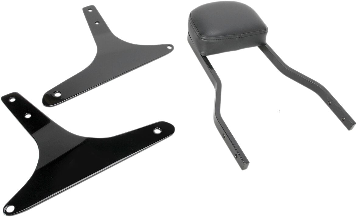 COBRA Sissy Bar quadrata