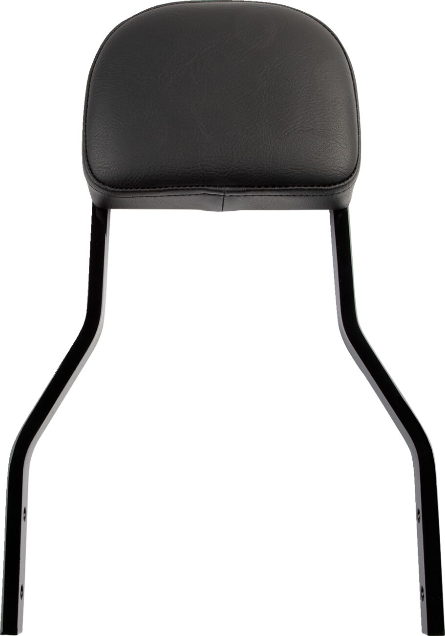 COBRA Sissy Bar quadrata