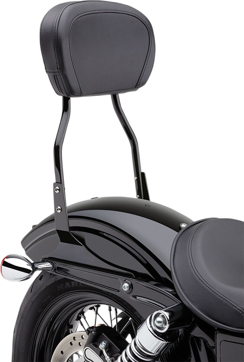 COBRA Sissy bar tondo