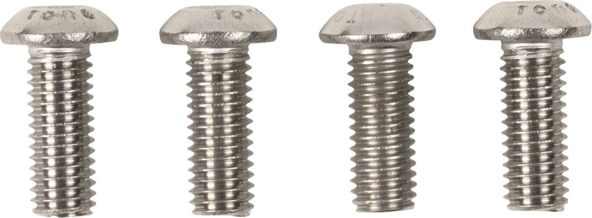 COBRA Portapacchi per montaggio su Sissy Bar