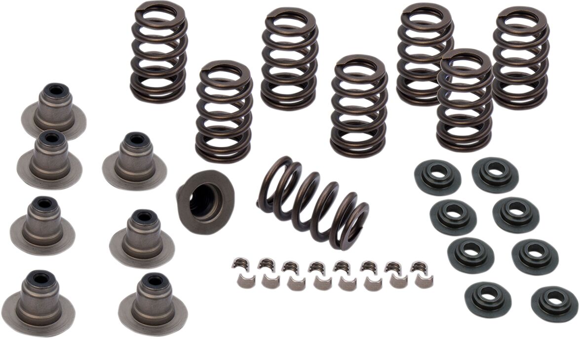 S&S CYCLE 900-0958 Kit Molle Valvola Heavy Duty 0,605″ Harley Davidson FLHX 1923 ABS Street Glide 117 17>25
