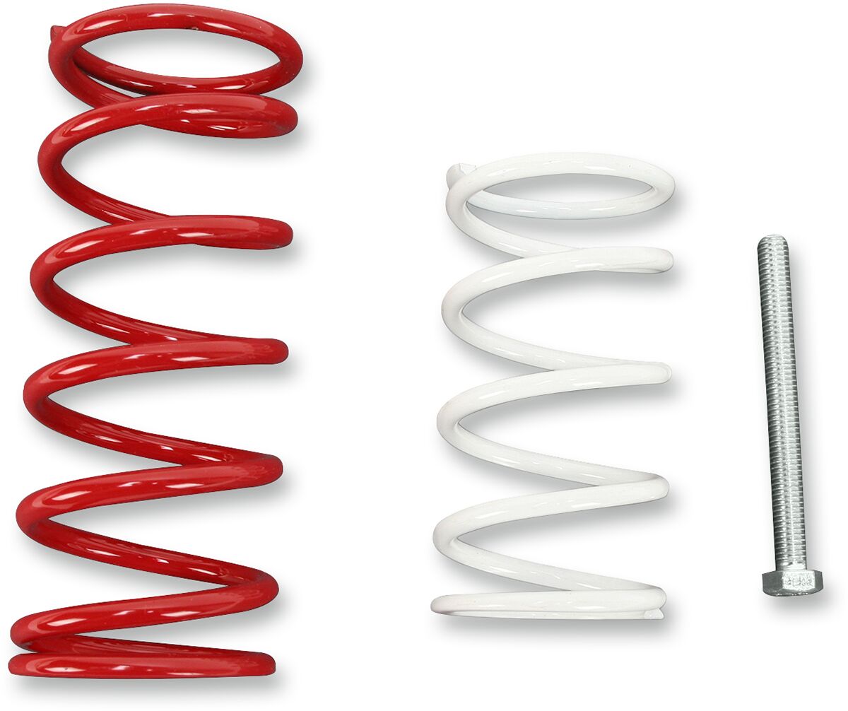 EPI WE397440 Kit frizione economico CAN AM (BRP) RENEGADE 800 R EFI 4X4 07>11