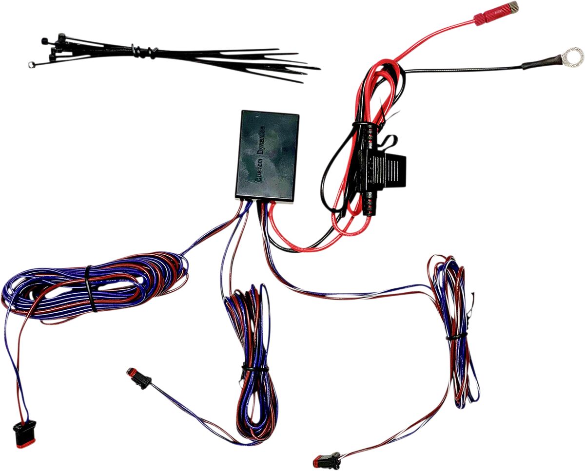 CUSTOM DYNAMICS Modulo indicatori di direzione
